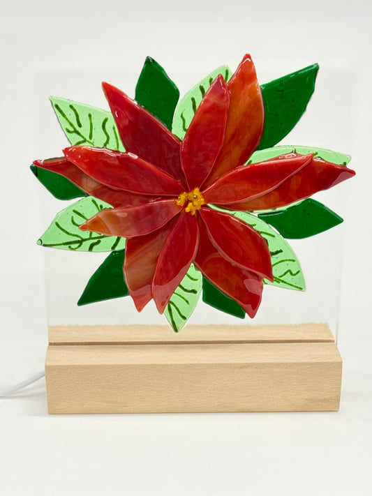 Interchangeable Nightlight Workshop