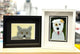 Pet Portrait Workshop