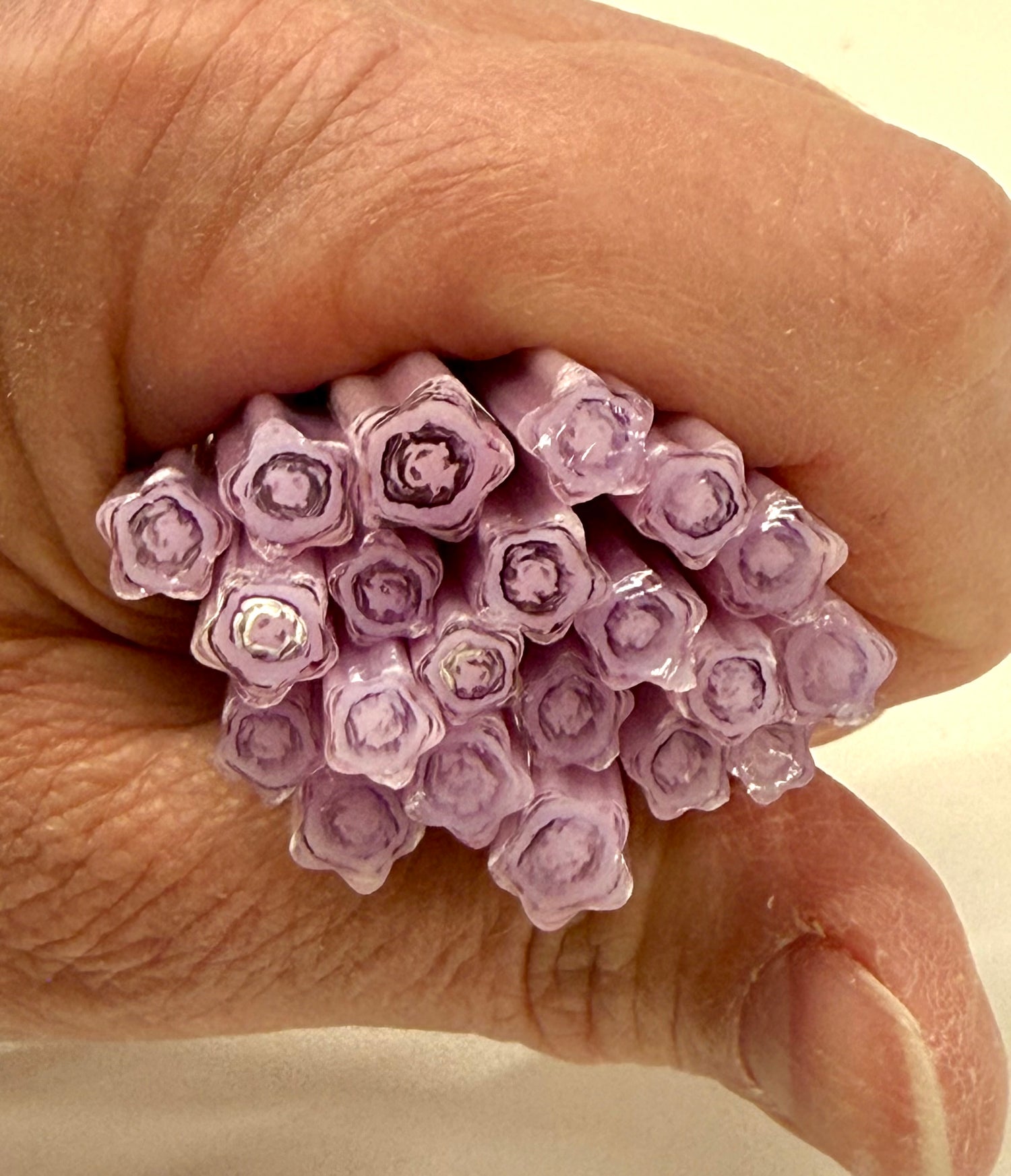 Flower murrini